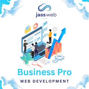 Business Web Design
